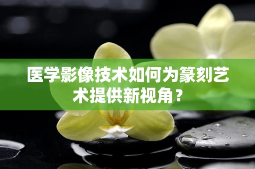 医学影像技术如何为篆刻艺术提供新视角？
