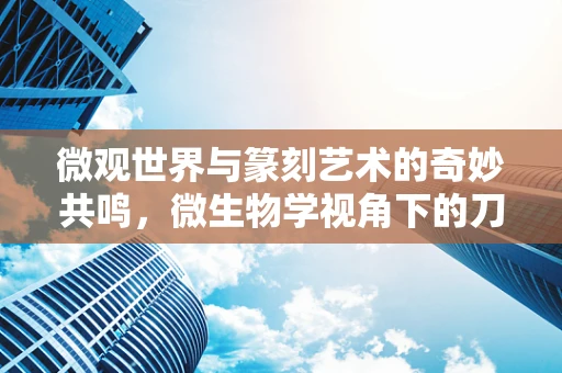 微观世界与篆刻艺术的奇妙共鸣，微生物学视角下的刀法精研