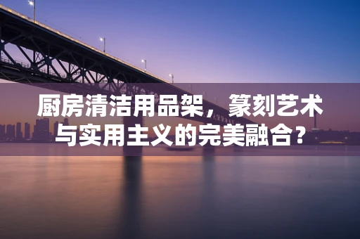 厨房清洁用品架，篆刻艺术与实用主义的完美融合？