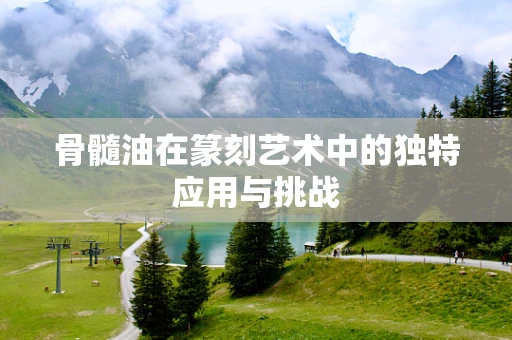 骨髓油在篆刻艺术中的独特应用与挑战