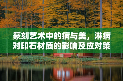 篆刻艺术中的病与美，淋病对印石材质的影响及应对策略