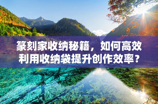 篆刻家收纳秘籍，如何高效利用收纳袋提升创作效率？
