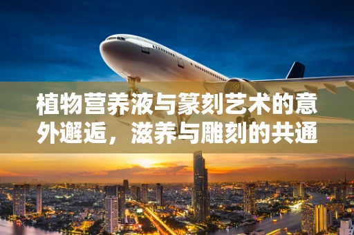 植物营养液与篆刻艺术的意外邂逅，滋养与雕刻的共通之处