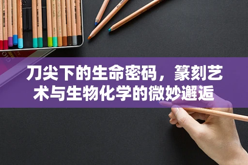 刀尖下的生命密码，篆刻艺术与生物化学的微妙邂逅