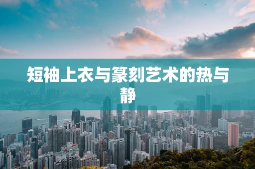 短袖上衣与篆刻艺术的热与静