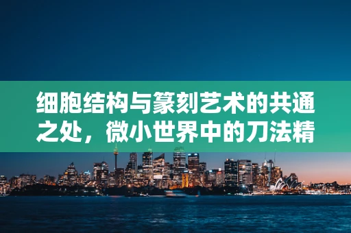 细胞结构与篆刻艺术的共通之处，微小世界中的刀法精妙