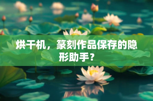 烘干机，篆刻作品保存的隐形助手？