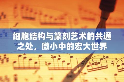 细胞结构与篆刻艺术的共通之处，微小中的宏大世界