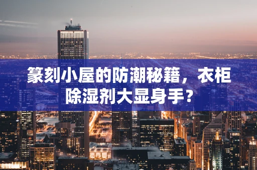 篆刻小屋的防潮秘籍，衣柜除湿剂大显身手？