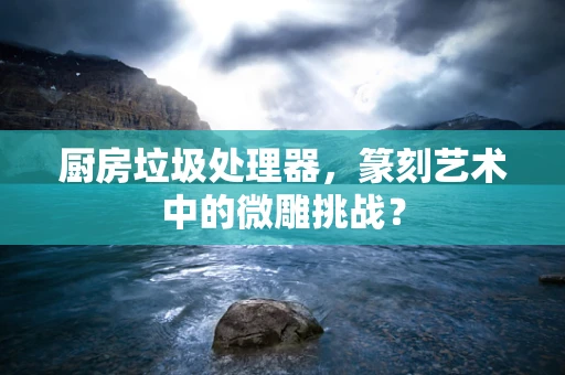 厨房垃圾处理器，篆刻艺术中的微雕挑战？