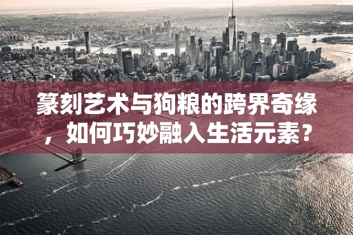 篆刻艺术与狗粮的跨界奇缘，如何巧妙融入生活元素？