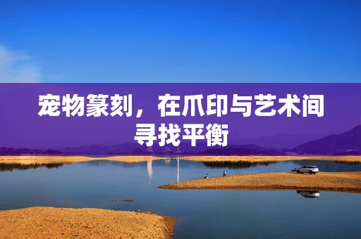 宠物篆刻，在爪印与艺术间寻找平衡