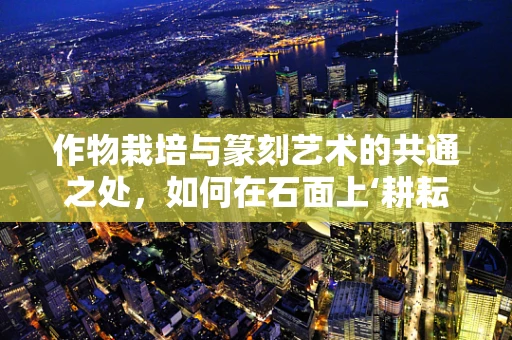 作物栽培与篆刻艺术的共通之处，如何在石面上‘耕耘’？
