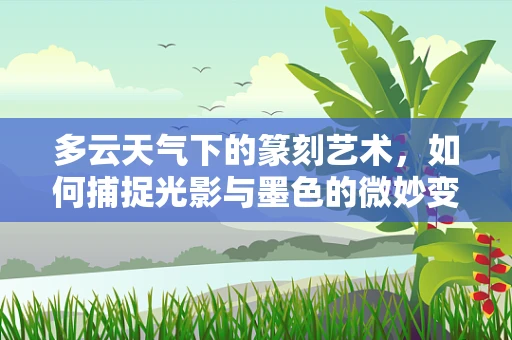 多云天气下的篆刻艺术，如何捕捉光影与墨色的微妙变化？