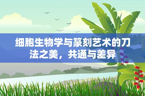 细胞生物学与篆刻艺术的刀法之美，共通与差异