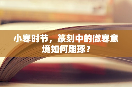 小寒时节，篆刻中的微寒意境如何雕琢？