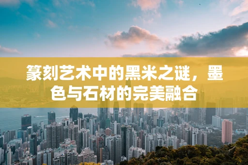 篆刻艺术中的黑米之谜，墨色与石材的完美融合