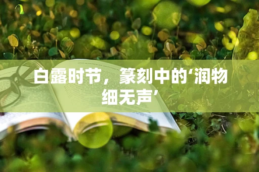 白露时节，篆刻中的‘润物细无声’