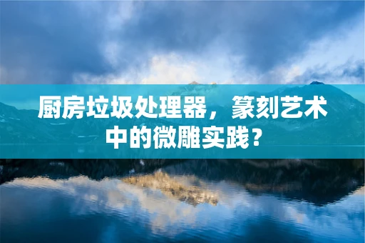 厨房垃圾处理器，篆刻艺术中的微雕实践？