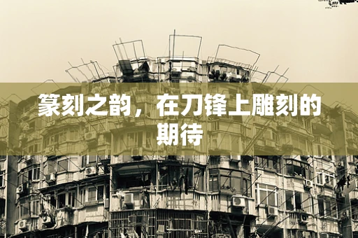 篆刻之韵，在刀锋上雕刻的期待