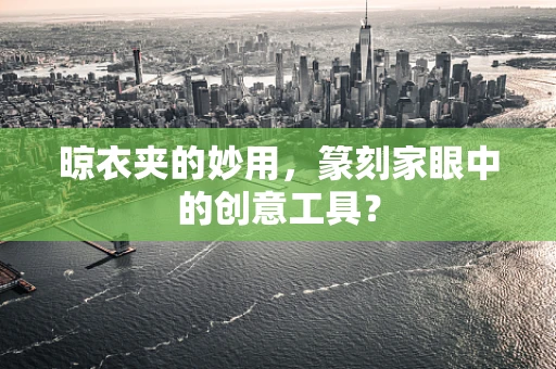 晾衣夹的妙用，篆刻家眼中的创意工具？