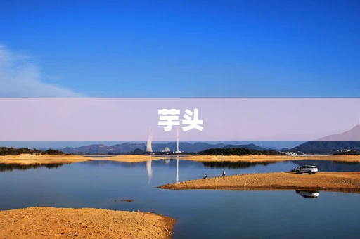 芋头