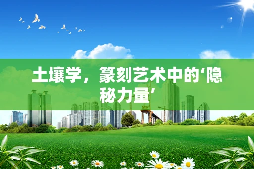 土壤学，篆刻艺术中的‘隐秘力量’