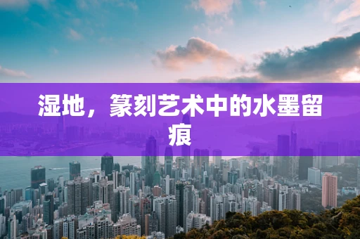 湿地，篆刻艺术中的水墨留痕