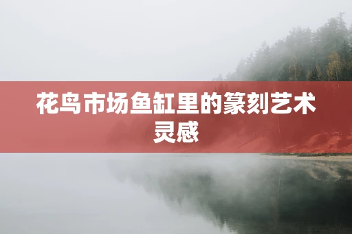 花鸟市场鱼缸里的篆刻艺术灵感