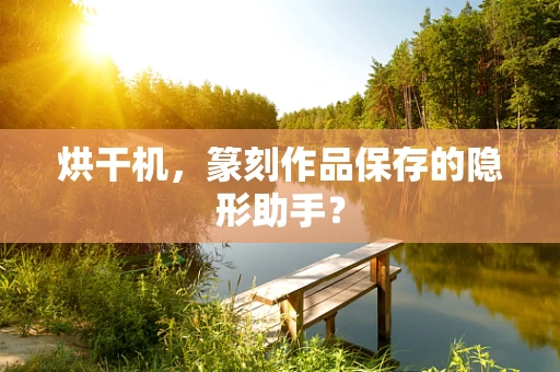 烘干机，篆刻作品保存的隐形助手？