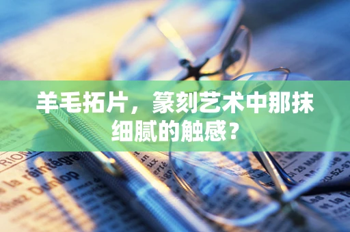 羊毛拓片，篆刻艺术中那抹细腻的触感？