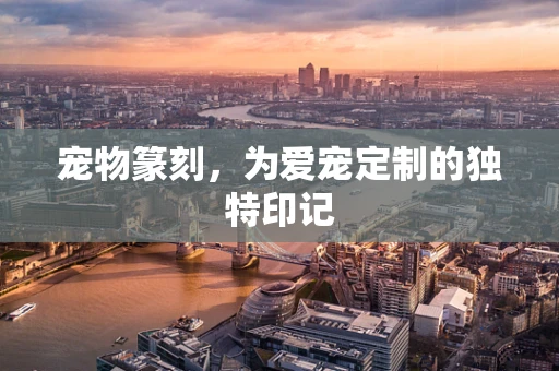 宠物篆刻，为爱宠定制的独特印记