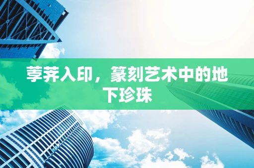 荸荠入印，篆刻艺术中的地下珍珠
