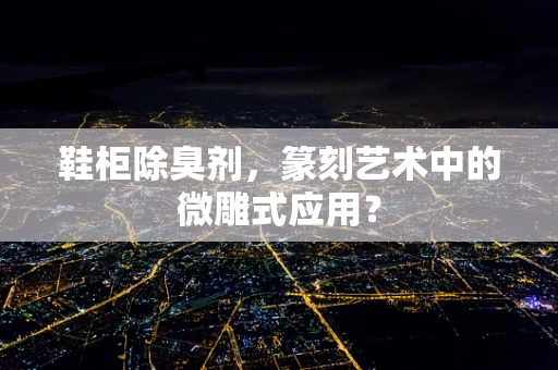 鞋柜除臭剂，篆刻艺术中的微雕式应用？