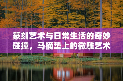 篆刻艺术与日常生活的奇妙碰撞，马桶垫上的微雕艺术？