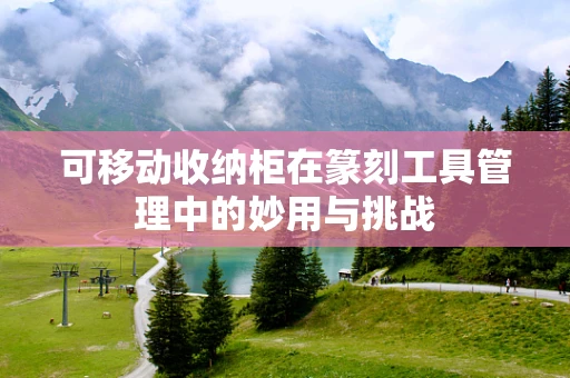 可移动收纳柜在篆刻工具管理中的妙用与挑战