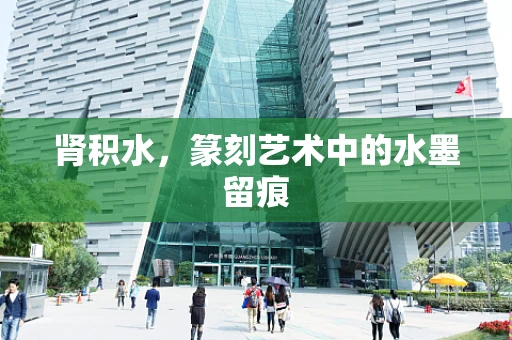 肾积水，篆刻艺术中的水墨留痕