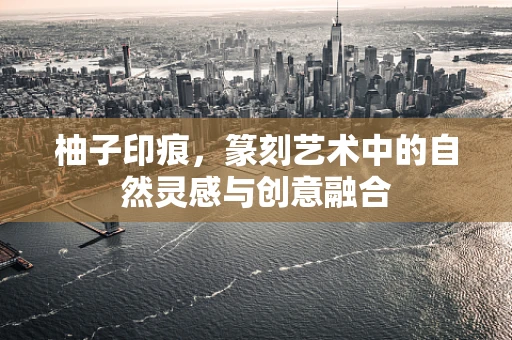 柚子印痕，篆刻艺术中的自然灵感与创意融合