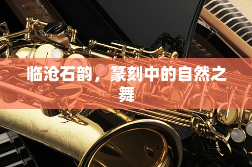 临沧石韵，篆刻中的自然之舞