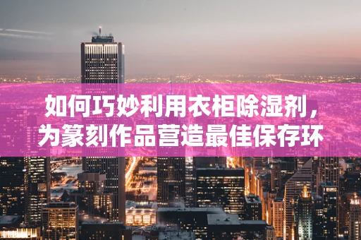 如何巧妙利用衣柜除湿剂，为篆刻作品营造最佳保存环境？