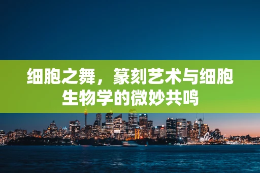 细胞之舞，篆刻艺术与细胞生物学的微妙共鸣