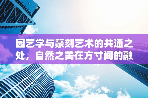 园艺学与篆刻艺术的共通之处，自然之美在方寸间的融合