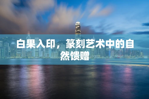 白果入印，篆刻艺术中的自然馈赠