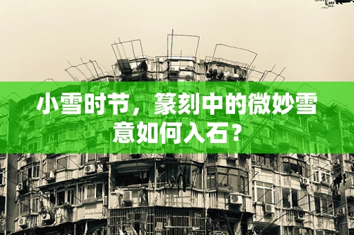 小雪时节，篆刻中的微妙雪意如何入石？