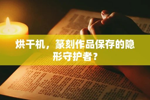 烘干机，篆刻作品保存的隐形守护者？