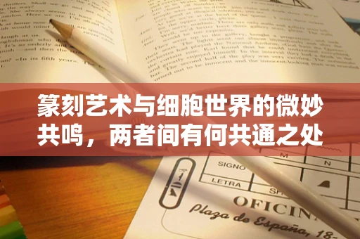 篆刻艺术与细胞世界的微妙共鸣，两者间有何共通之处？