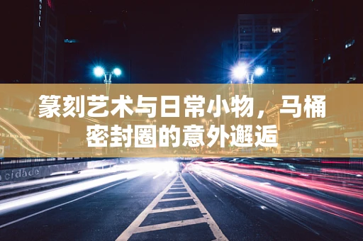 篆刻艺术与日常小物，马桶密封圈的意外邂逅