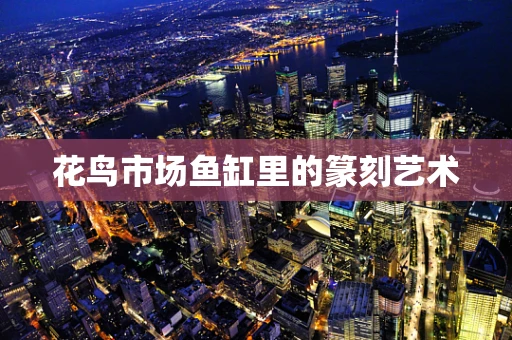 花鸟市场鱼缸里的篆刻艺术