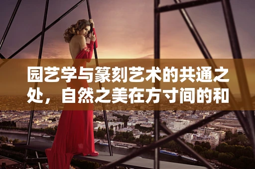 园艺学与篆刻艺术的共通之处，自然之美在方寸间的和谐共生