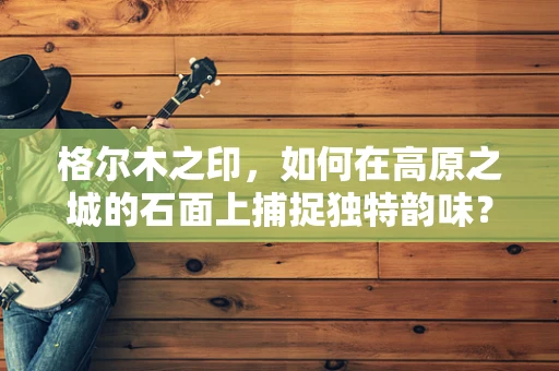 格尔木之印，如何在高原之城的石面上捕捉独特韵味？